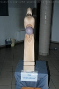 Sculture_Cavino_ 2009 (174)